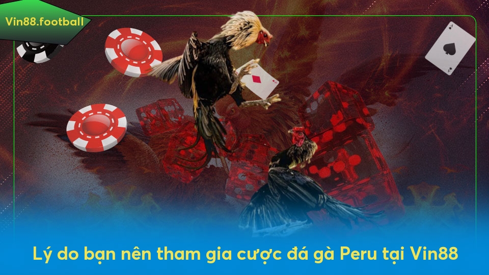 Lý do bạn nên tham gia cược đá gà Peru tại Vin88